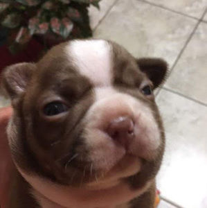 Meet your Posher, Ava